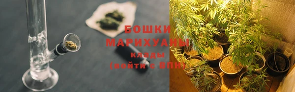 PSILOCYBIN Касимов