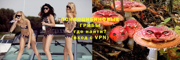 PSILOCYBIN Касимов
