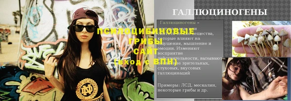 дмт Кинешма