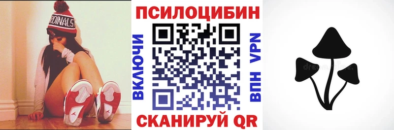 Купить  Верхнеуральск  Псилоцибиновые грибы Psilocybe 